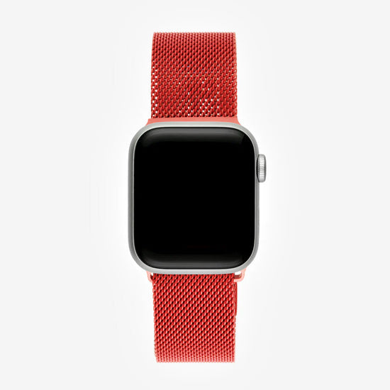 Apple Watch band